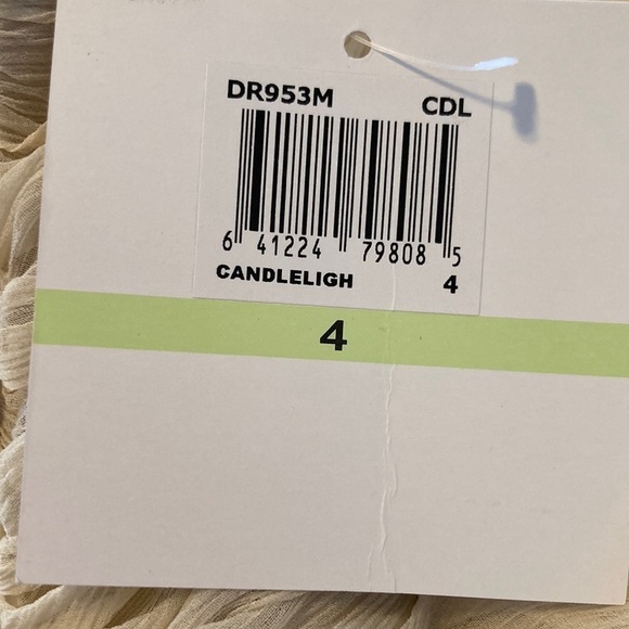 DONNA Morgan 100% Silk Chiffon Maxi Dress Bridesmaid Candlelight Size 4 New NWT - Picture 8 of 15